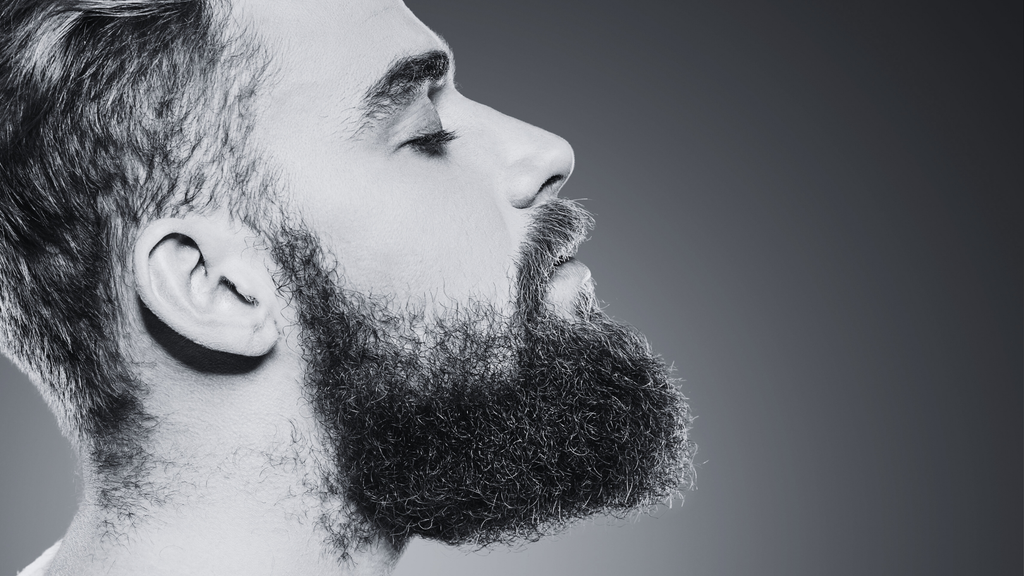 Beard Oil - Speakeasy