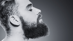 Beard Oil - Speakeasy